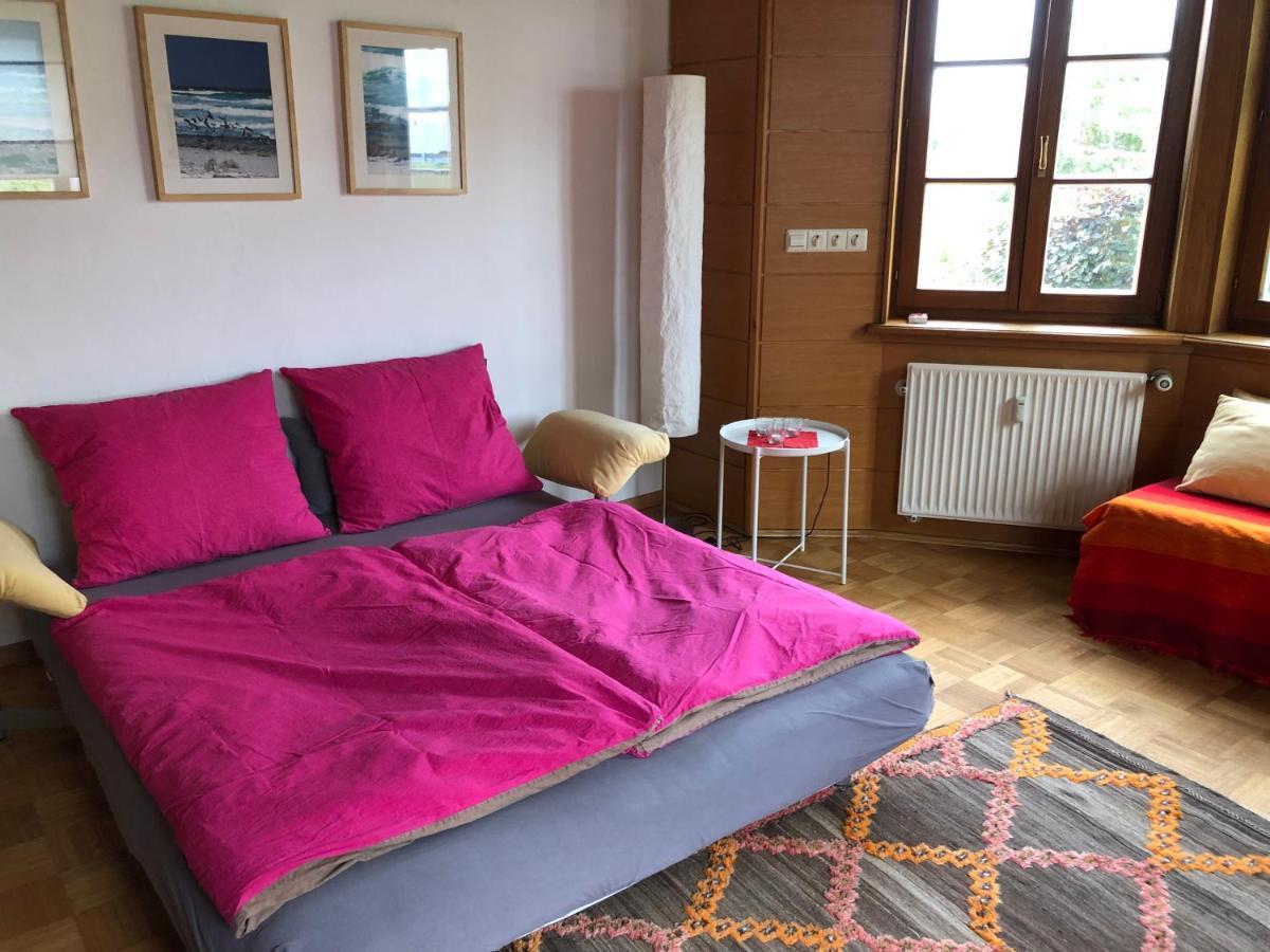Ferienwohnung Am Donauradwanderweg リートリンゲン エクステリア 写真